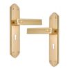 Brass Lever Lock Handles [DG]
