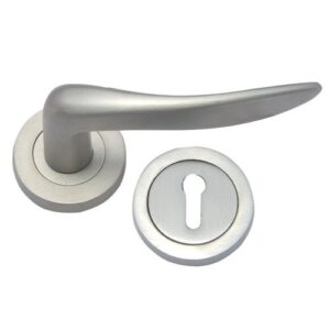 Brass Lever Latch Handles with Rose [RW]